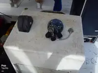 Τράτα προς πώληση