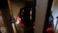 Τράτα προς πώληση