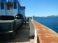 Αμφοβόλο προς πώληση