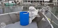 Τράτα προς πώληση