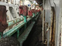 Πλοίο αλιείας καλαμαριών με ειδικό εργαλείο προς πώληση