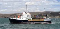 Purse seiner προς πώληση