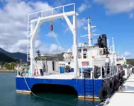 Καταμαράν προς πώληση