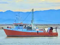 Trawler προς πώληση