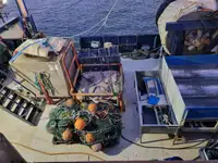 Μεταλλικά απορρίμματα προς πώληση
