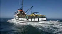 Trawler προς πώληση