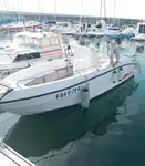 Κρουαζιερόπλοιο προς πώληση