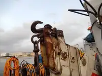 Εργατικά πλοία προς πώληση