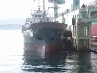 Πλοίο μεταφοράς χύδην φορτίου προς πώληση