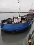 Αμφοβόλο προς πώληση