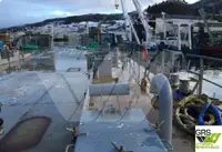 Αμφοβόλο προς πώληση