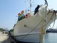 Πλοίο αλιείας καλαμαριών με ειδικό εργαλείο προς πώληση