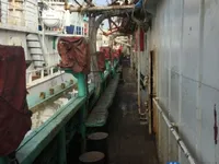 Πλοίο αλιείας καλαμαριών με ειδικό εργαλείο προς πώληση