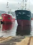 Τράτα προς πώληση