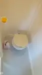 Τράτα προς πώληση