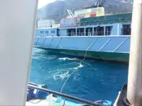 Ρυμουλκό πλοίο προς πώληση