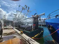 Τράτα προς πώληση