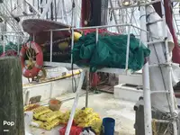 Τράτα προς πώληση