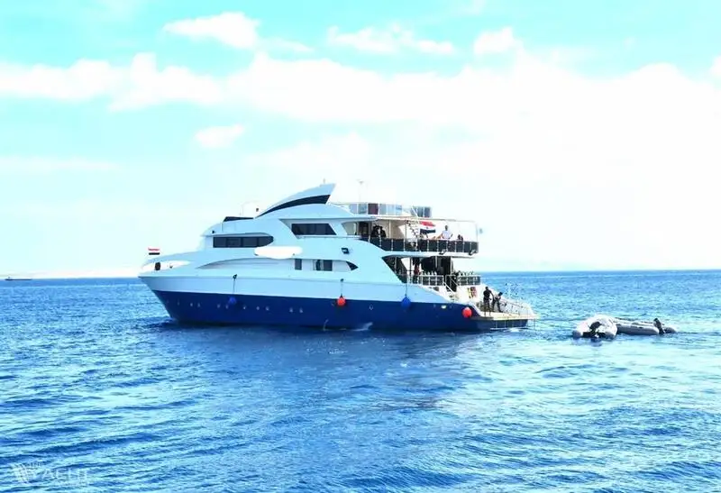Υποστήριξη καταδύσεων προς πώληση