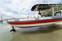 Αμφίβιο προς πώληση