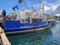 Τράτα προς πώληση