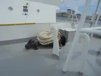 Πλοίο περιπολίας προς πώληση
