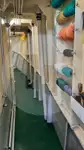 Πλοίο μεταφοράς ζωντανών ψαριών προς πώληση