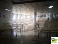 Αμφοβόλο προς πώληση