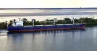 Πλοίο μεταφοράς χύδην φορτίου προς πώληση