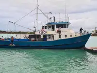Τράτα προς πώληση