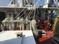Τράτα προς πώληση