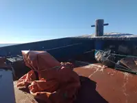 Ρυμουλκό πλοίο προς πώληση