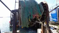 Τράτα προς πώληση