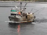 Longliner προς πώληση