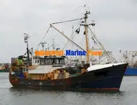 Τράτα προς πώληση