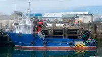 Εργατικά πλοία προς πώληση