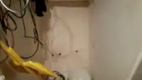 Τράτα προς πώληση