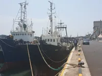 Τράτα προς πώληση