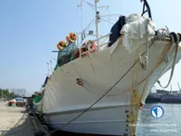 Πλοίο αλιείας καλαμαριών με ειδικό εργαλείο προς πώληση