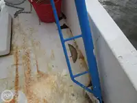 Τράτα προς πώληση