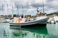 Τράτα προς πώληση