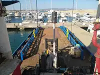 Ρυμουλκό πλοίο προς πώληση