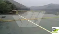 Αμφοβόλο προς πώληση