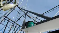 Τράτα προς πώληση