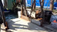 Τράτα προς πώληση