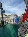Ρυμουλκό πλοίο προς πώληση