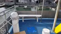 Καταμαράν προς πώληση