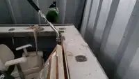 Τράτα προς πώληση