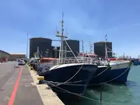Longliner προς πώληση