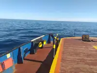 Ρυμουλκό πλοίο προς πώληση